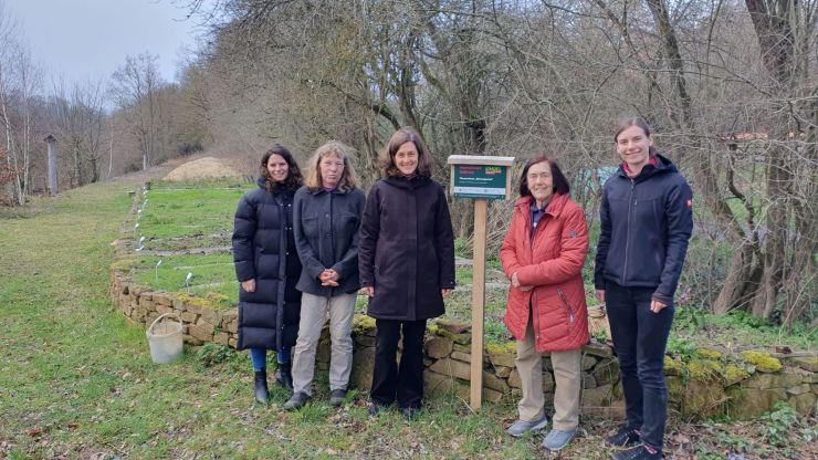 gefördertes Projekt Bienenmuseum